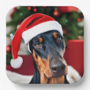 Zoek naar doberman borden Grappig