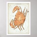 Zoek naar sterrenbeelden posters Vintage