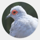 Zoek naar duiven stickers Roze