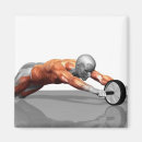 Recherche de muscle humain magnets Médical