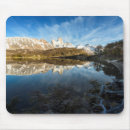 Recherche de patagonia tapis souris Chalten