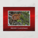 Recherche de mammifères cartes postales Mignon