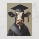 Zoek naar dierenarts briefkaarten Koe