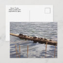 Recherche de dix cartes postales Toute personne