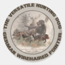Recherche de chiens de chasse autocollants Drahthaar