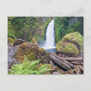 Recherche de gorge du fleuve columbia cartes postales Environnement