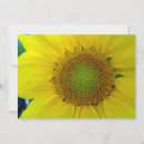 Recherche de graine invitations Jaune