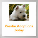 Recherche de west highland terrier posters Blanc