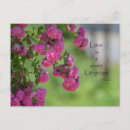 Recherche de rumi citations cartes postales Amour