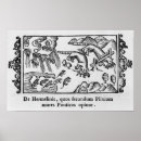 Recherche de migrateur posters Animal