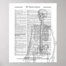 Zoek naar radioloog posters Chirurg