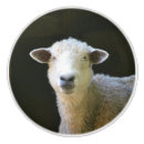 Recherche de mouton boutons et poignées de porte Agneau