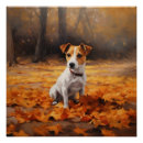 Recherche de jack russell posters Chien