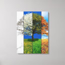 Recherche de quatre arbres posters Printemps