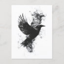 Recherche de illustration plume cartes postales Noir