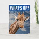 Recherche de funny toutes vœux cartes Bonjour