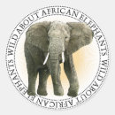 Zoek naar afrikaanse olifanten stickers Wilde dieren