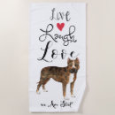 Recherche de staffie Chien