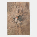 Recherche de ornithologie cuisine linges Observation des oiseaux