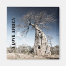 Recherche de arbre refrigérateur magnets Safari