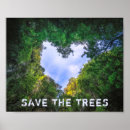 Zoek naar bos posters Groen