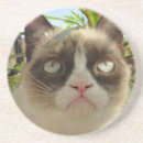 Recherche de m grincheux dessous de verres Chat