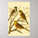 Recherche de perche posters Arbre