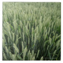 Recherche de croissance carreaux Dessins