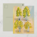 Recherche de bouleaux cartes postales Botanique