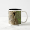 Recherche de masai mara tasses Afrique