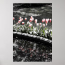 Recherche de tulipes noires posters Noir et blanc