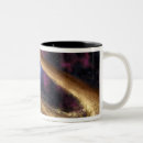 Zoek naar supernova mokken Pulsar