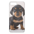 Recherche de chiot teckel iphone coques Animaux