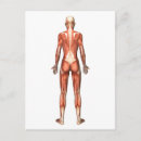 Recherche de avant bras cartes postales Muscle