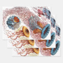 Recherche de geek papier cadeau Biologie