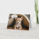 Recherche de chihuahuas vœux cartes Animal