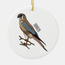 Recherche de moineau ornements Faucon