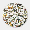 Recherche de illustration de papillon magnets Dessin