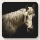 Recherche de cheval occidental photographie Noir