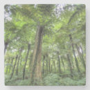 Recherche de bali dessous de verres Nature