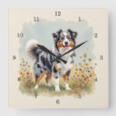 Recherche de chien de berger australien art Merle