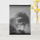 Zoek naar witte hond kaarten Foto