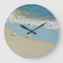 Recherche de oiseaux de la floride horloges Plage