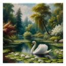 Zoek naar witte zwanen posters Elegant