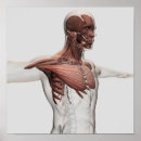Zoek naar biomedisch posters Illustratie
