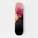 Recherche de coq skateboards Animal