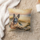 Recherche de malinois coussins Amoureux des chiens
