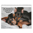 Recherche de bronzage bureau fournitures Chien