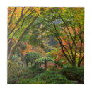 Recherche de jardin japonais carreaux Oriental