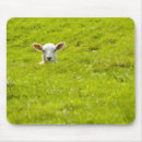 Recherche de agneaux tapis souris Moutons